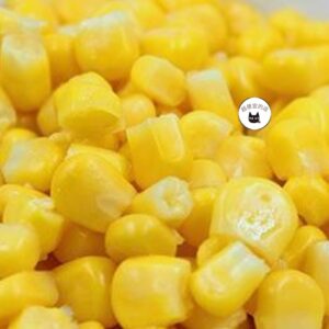 【神駒】玉米罐頭340g ﹍ 811-0087