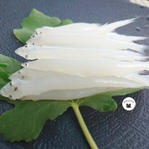 生凍銀魚 / 水晶魚 220g（約12-14CM） ﹍ 962-0332：圖片 3