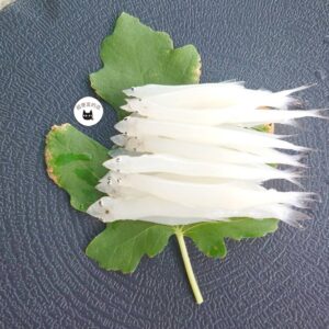 生凍銀魚 / 水晶魚 220g（約12-14CM） ﹍ 962-0332：圖片 7