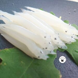 生凍銀魚 / 水晶魚 220g（約12-14CM） ﹍ 962-0332