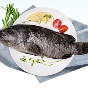 生鮮食品線上訂購│極鮮石斑魚│海鮮冷凍食材