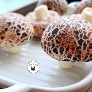 超萌香菇芝麻包 450g / 10顆 ﹍ 962-0365