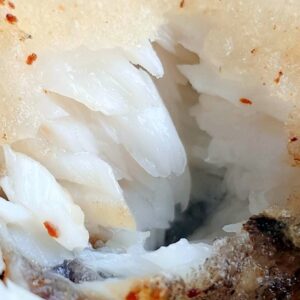 格陵蘭NG鱈魚片 / NG大比目魚片 1000g ﹍ 962-0432：圖片 4