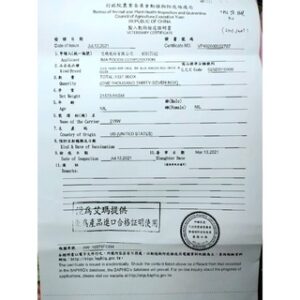 台式牛小排 600g（約3～4片） / 黑胡椒牛小排 600g（約3～4片） / 台式牛小排約110g-120g（單片）：圖片 9