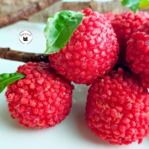 【年菜專區】荔枝蝦球 300g / 10顆 ﹍ 962-0461：圖片 2