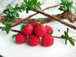 【年菜專區】荔枝蝦球 300g / 10顆 ﹍ 962-0461