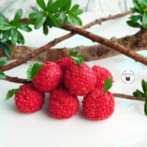 【年菜專區】荔枝蝦球 300g / 10顆 ﹍ 962-0461