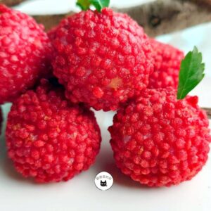 【年菜專區】荔枝蝦球 300g / 10顆 ﹍ 962-0461：圖片 6