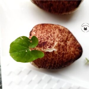 【年菜專區】流心小芋仔 450g/10顆 ﹍ 962-0483：圖片 3