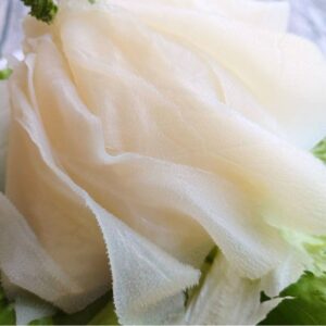 生鮮白毛肚 600g（散裝；塑膠袋包裝；非真空包裝） ﹍ 111-0002：圖片 7