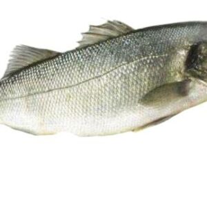 加州鱸魚 約600g±20％（代殺清） ﹍ 104-0888