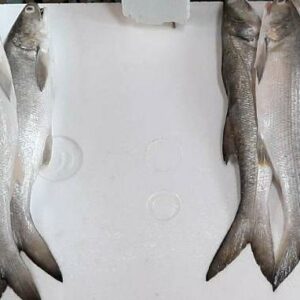午仔魚 約300g±20％（代殺清） ﹍ 104-0894：圖片 3