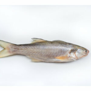午仔魚 約300g±20％（代殺清） ﹍ 104-0894