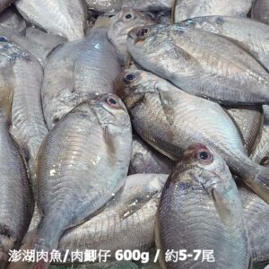 澎湖肉魚 / 肉鯽仔 600g / 約5-7尾（代殺清） ﹍ 104-0899：圖片 2