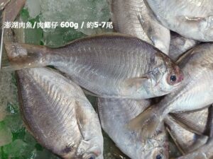 澎湖肉魚 / 肉鯽仔 600g / 約5-7尾（代殺清） ﹍ 104-0899
