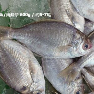 澎湖肉魚 / 肉鯽仔 600g / 約5-7尾（代殺清） ﹍ 104-0899