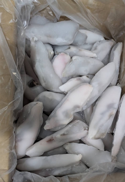 《快速成團》NG鱈魚頭刀 約1KG(L / 散出) ﹍ 945-0007 ➡️ $155(原價$250):圖片 4