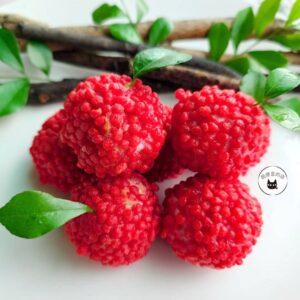【年菜專區】荔枝蝦球 300g / 10顆 ﹍ 962-0461