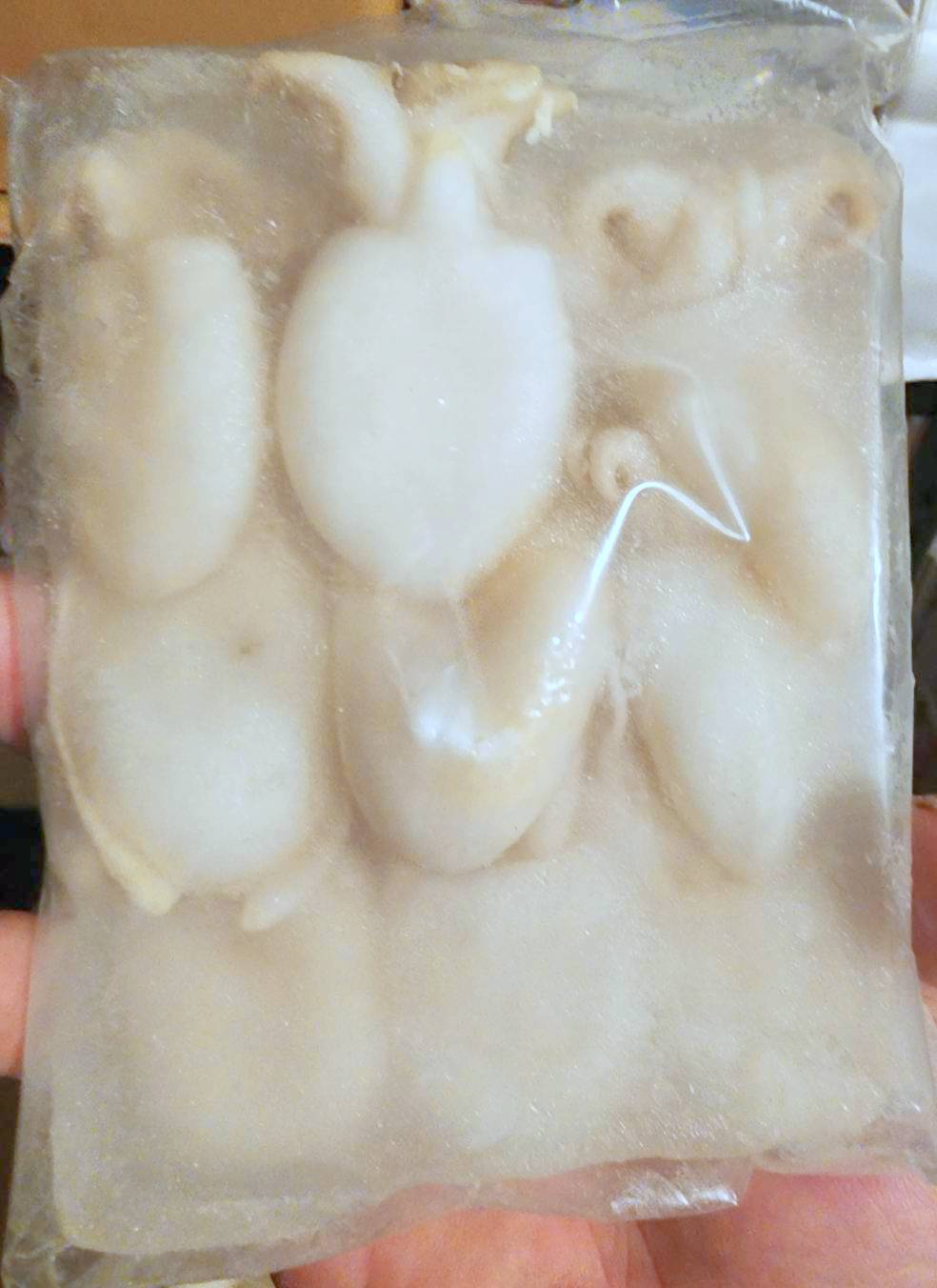 《快速成團》廠商眼不見為淨~即期品與庫存出清:圖片 2
